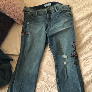 Torrid jeans size 16T
